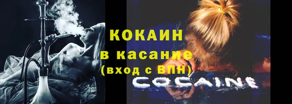 ешки Новодвинск