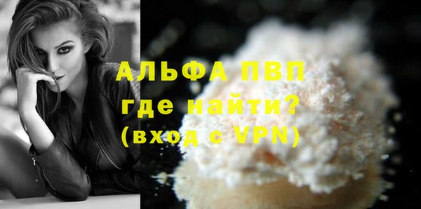 ешки Новодвинск