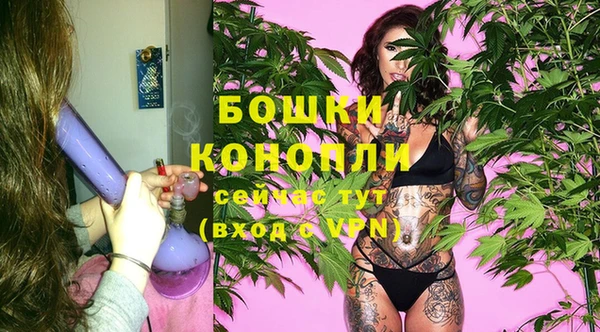 трава Новокубанск