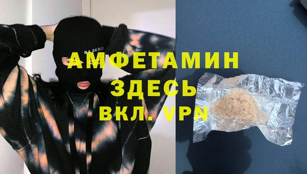 ешки Новодвинск
