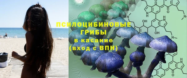 трава Новокубанск