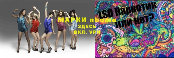 трава Новокубанск