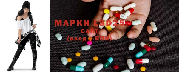 ешки Новодвинск