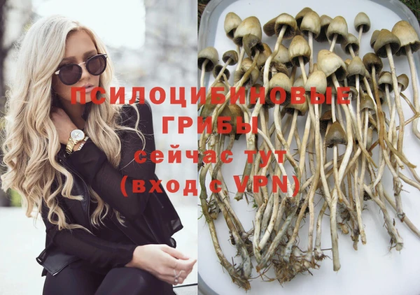 бутират Новозыбков