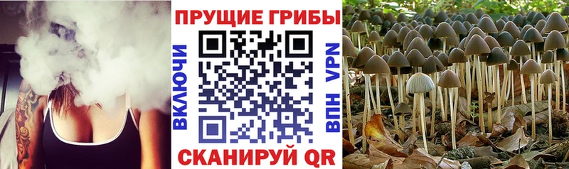 Галлюциногенные грибы Magic Shrooms  магазин    Монино 